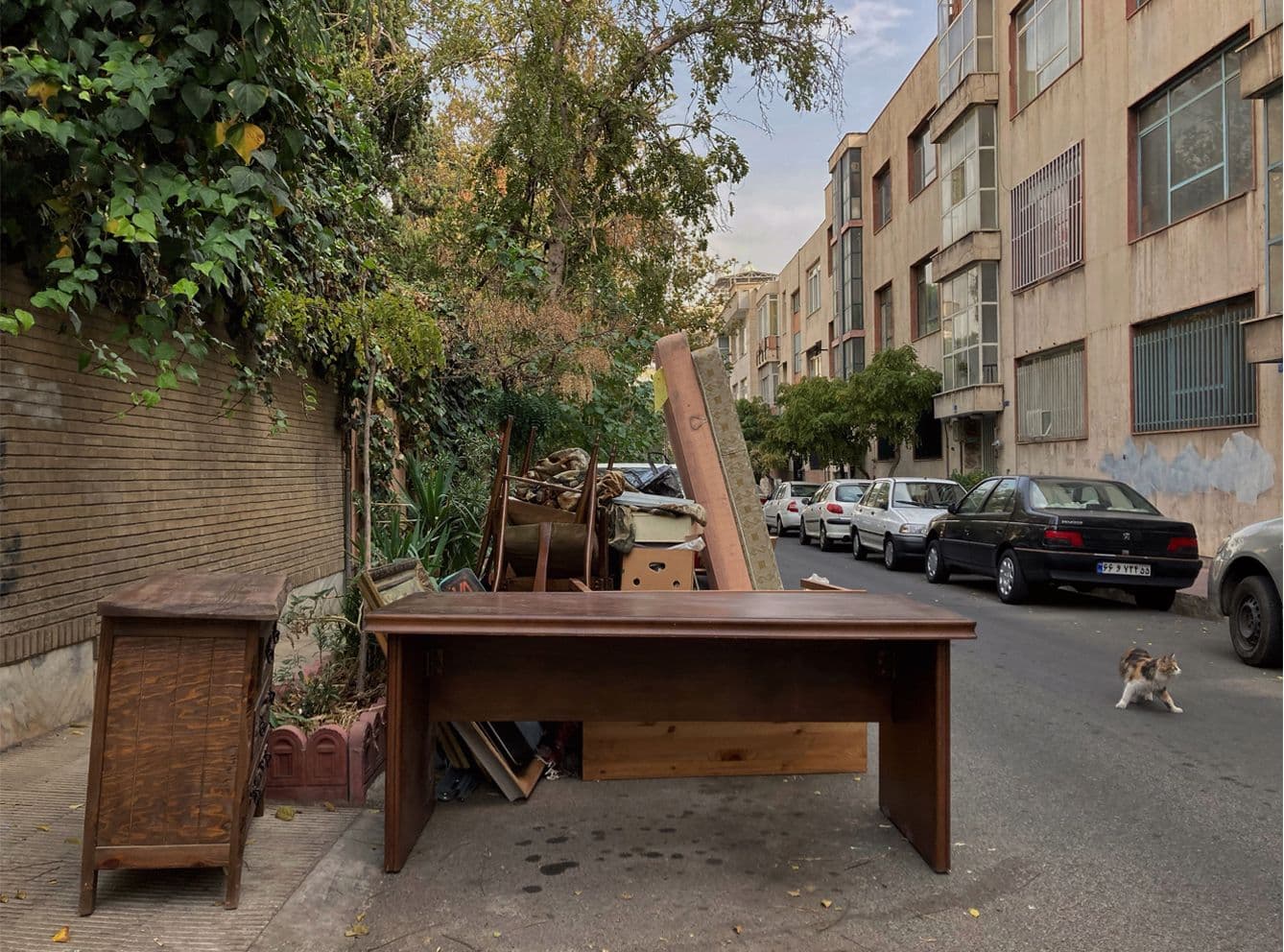 عکس از گلناز طاهرى