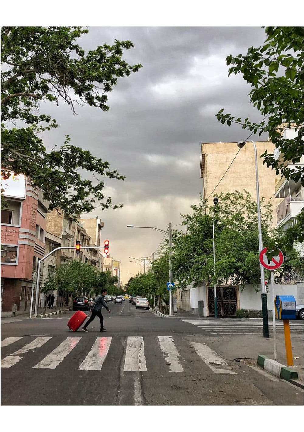 پرندگان میروند تا این بار در تهران بمیرند