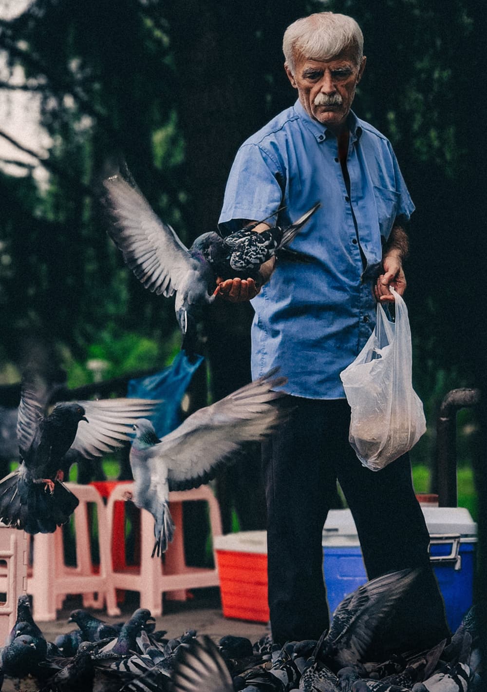عکس از ماهان خدادادى