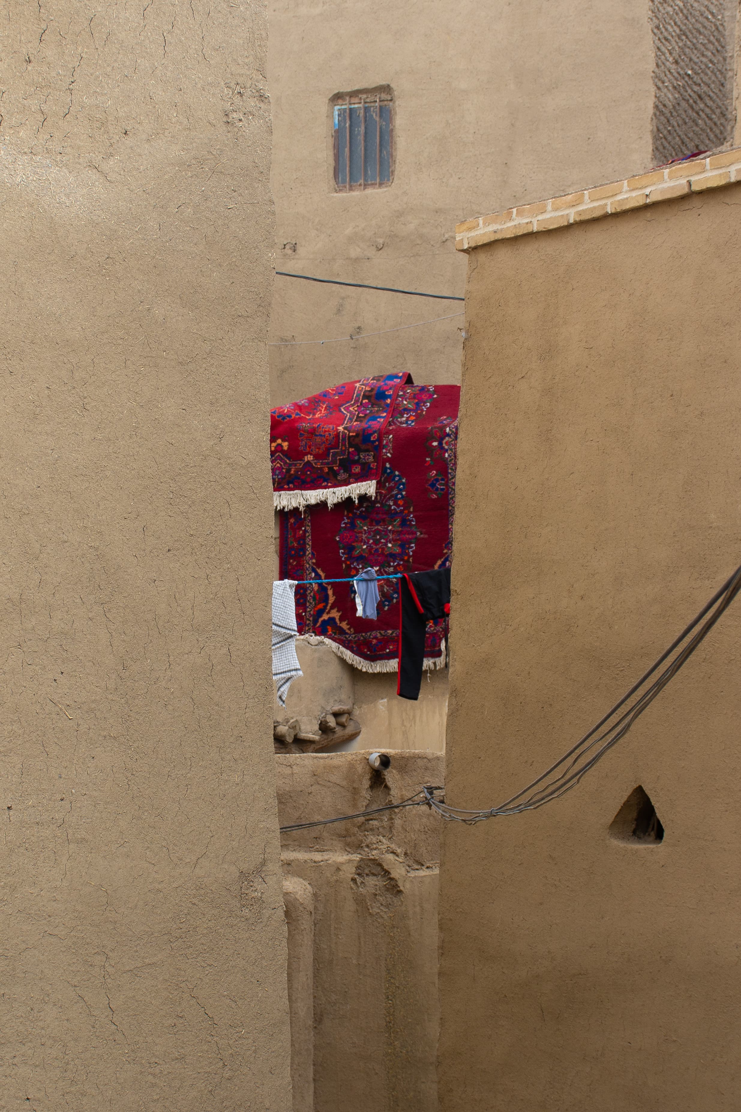 عکس از نسترن رجالی