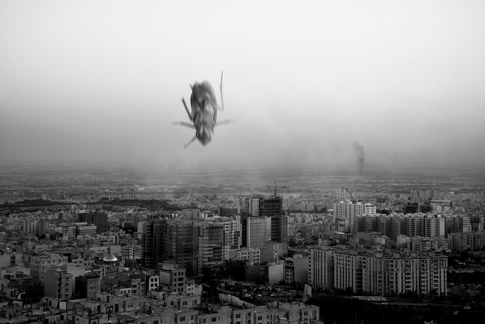 توقعات قراردادی