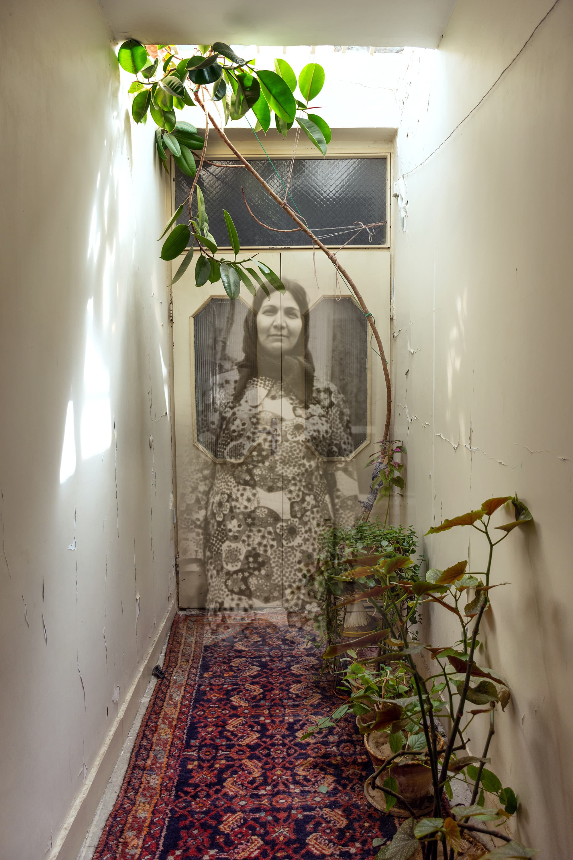 عکس از فاطمه روحانی