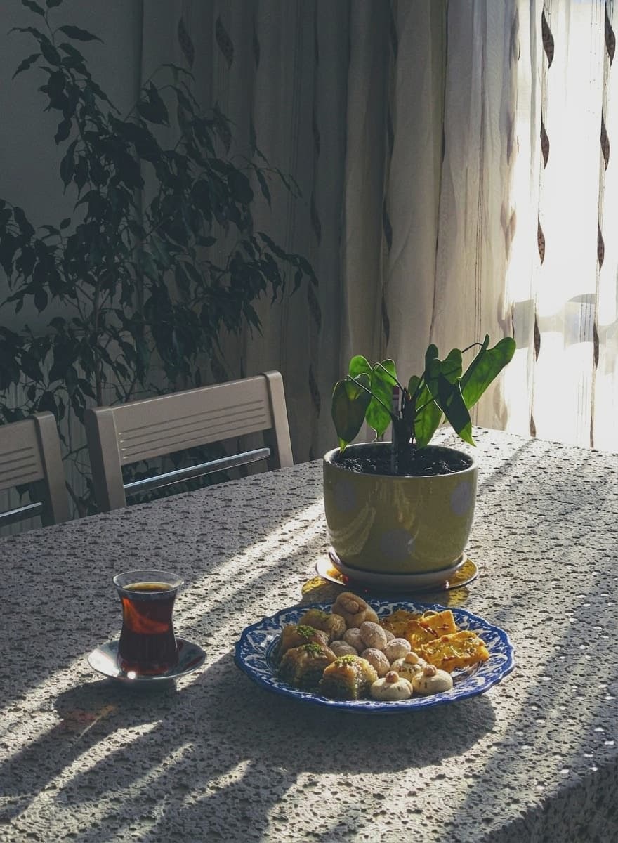 عکس از آرشیو